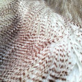 Long Pile Peacock & Pheasant Faux Fur